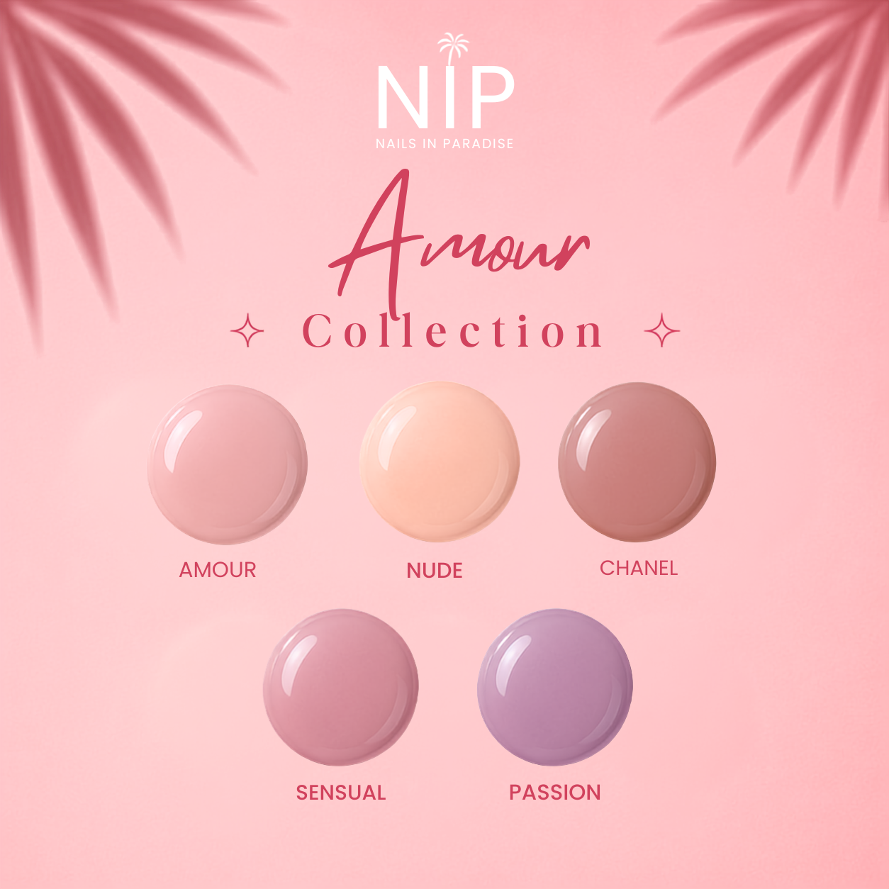 Amour Collection