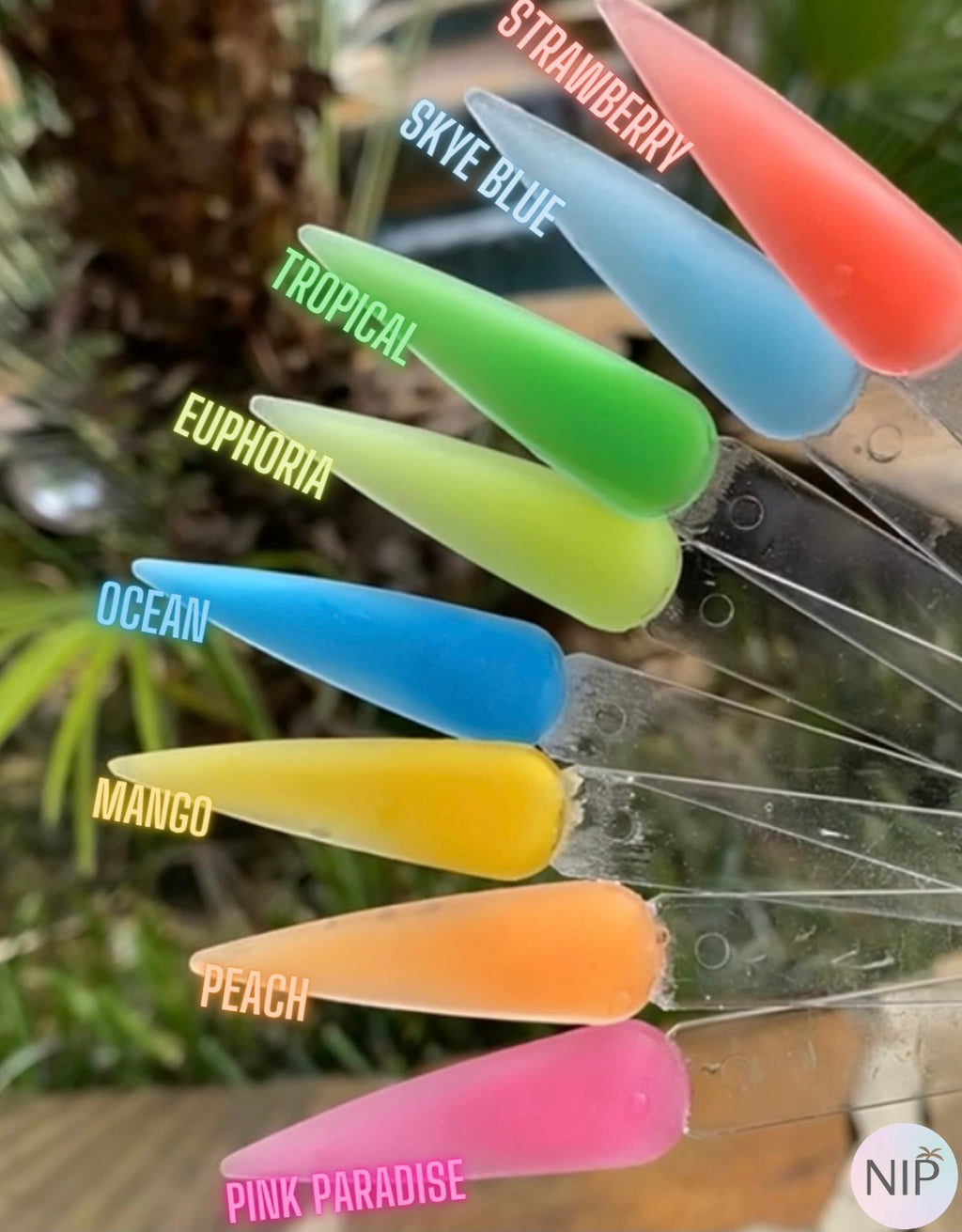 مجموعة الجنة